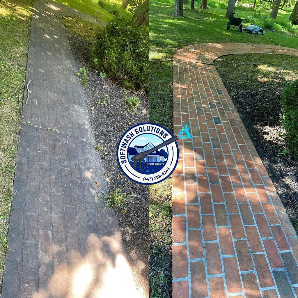 474120153_1170815768000350_1713502595207504431_n