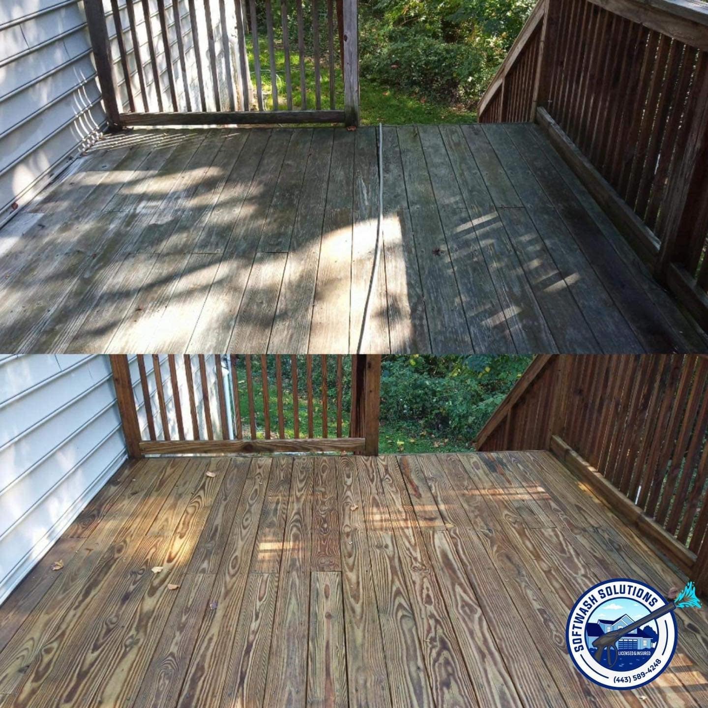 486826289_1212614617533910_4028223246644410032_n