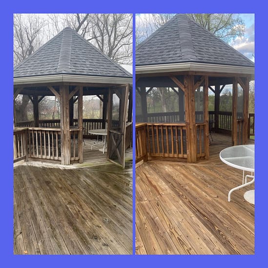 492175643_1237846355010736_6454252453631214305_n